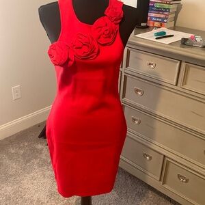 Endless Rose Red Dress